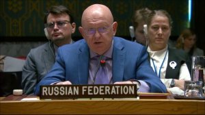 Statement by Amb. Nebenzia at a UNSC Briefing on Women Building Peace in a Changing Environment