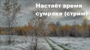 Настаёт время сумрака (стрим от 5 ноября 2024)