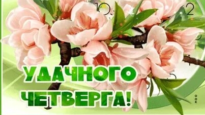 Удачного четверга!