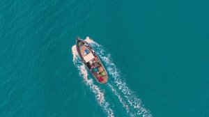 3277598-uhd_3840_2160_24fps