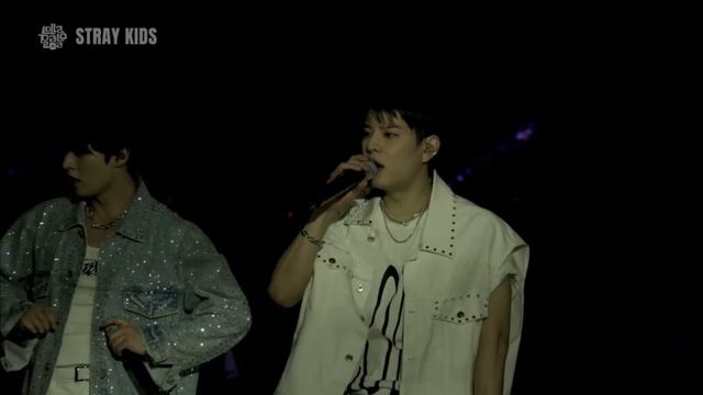 Stray Kids - Lollapalooza Chicago 2024 (Full Show) смотреть онлайн