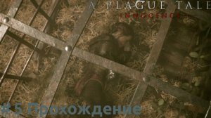 A Plague Tale: Innocence - 5 Лагерь