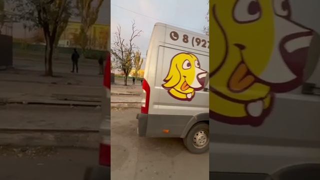 Вот и уехала наша Малышка ❗️
Печально и радостно на душе..