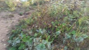 река Северная Двина