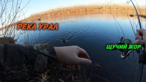 Ловля щуки на реке Урал.