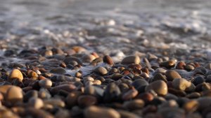 3446613-uhd_3840_2160_25fps