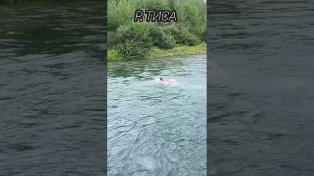 ⚓️🇺🇦🇹🇩Пересечение р.Тисы. Видеоотчет одного из наших подписчиков💪