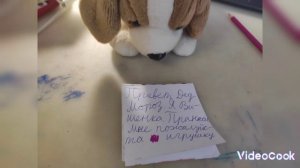 ИГРУШЕЧНЫЕ ДОМАШНИЕ ЖИВОТНЫЕ САМИ ПИШУТ ПИСЬМА ДЕДУ МОРОЗУ!! ПРОСЯТ ЧЕЛОВЕЧЕСКИЕ ВЕЩИ! ШОК.