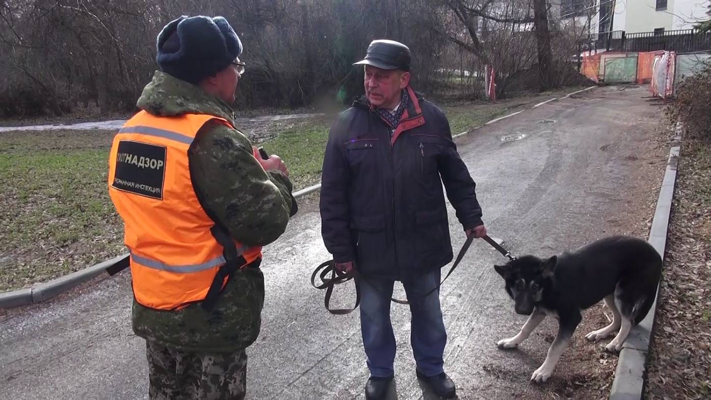 В Новосибирске усилено патрулирование дендропарка