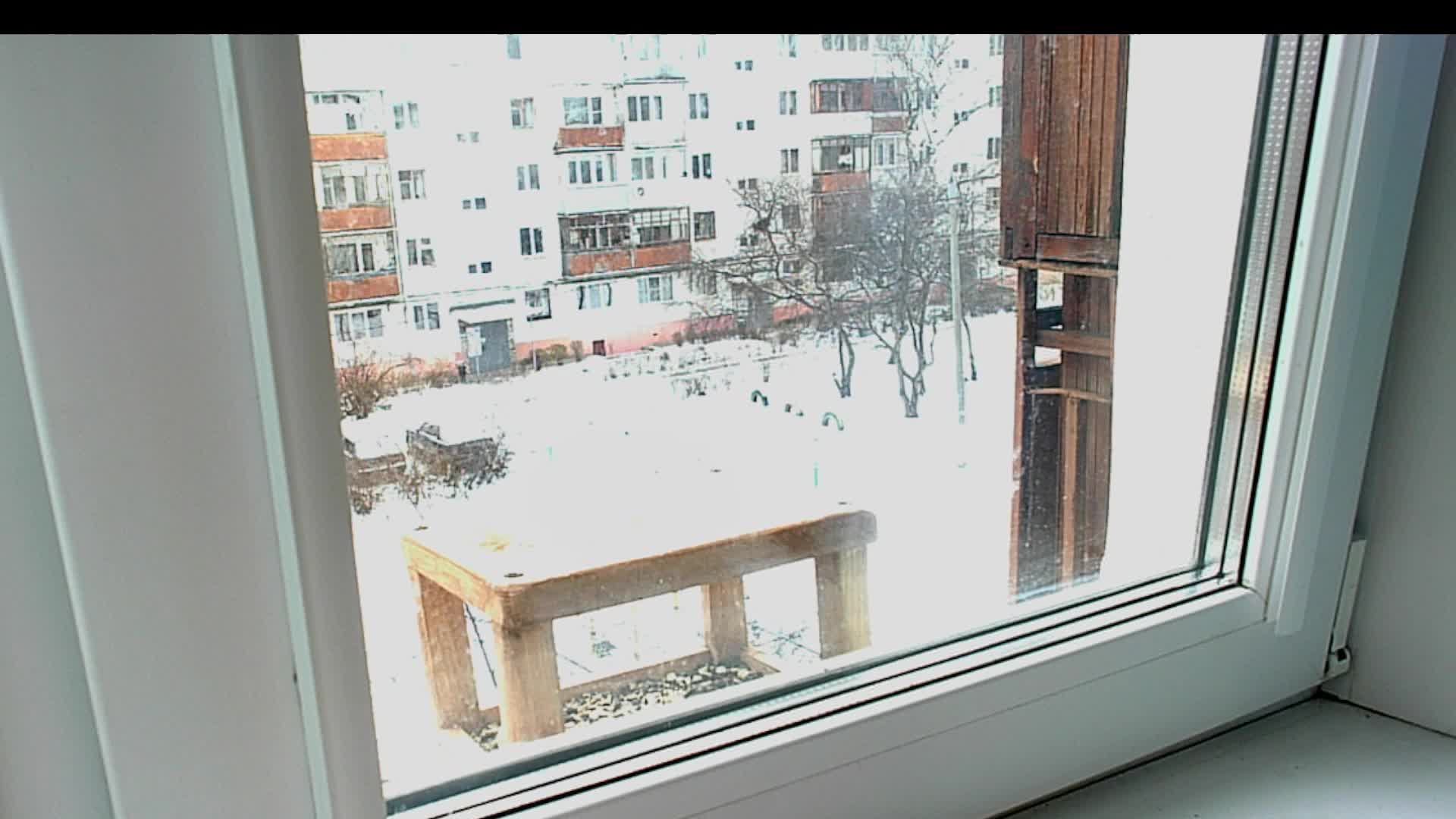 Кормушка