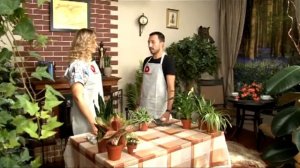 Домашний сад  Выпуск №12