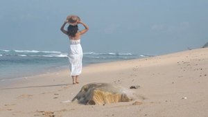 9186989-uhd_3840_2160_30fps