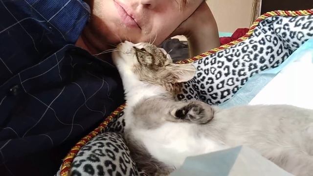 Мгновения счастья