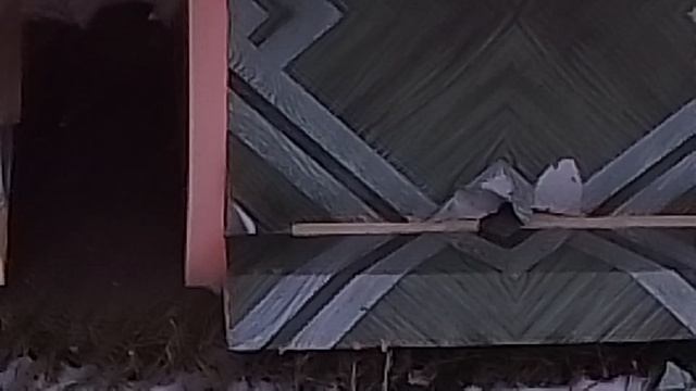 Ждём погоду. смотреть онлайн