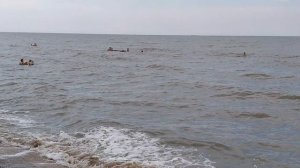 Все купаться на Азовское море в станице Голубицкая очень тёплая вода