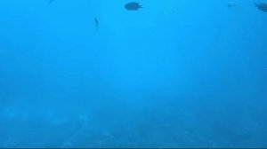 Египет. Я в Красном море