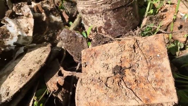 КОП ПО ВОЙНЕ! НЕОЖИДАННАЯ НАХОДКА НА НЕМЕЦКИХ ПОЗИЦИЯХ! смотреть онлайн