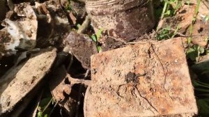 КОП ПО ВОЙНЕ! НЕОЖИДАННАЯ НАХОДКА НА НЕМЕЦКИХ ПОЗИЦИЯХ!