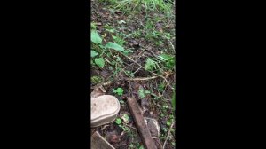 КОП ПО ВОЙНЕ! Первое видео.Фильм первый!Немецкие позиции.