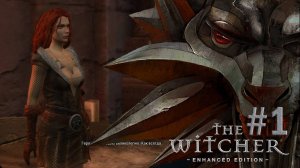 Прохождение Ведьмак. По пути в Вызима #2