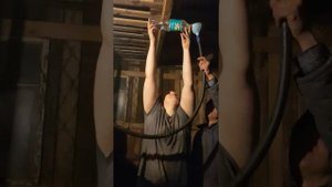 Колики у лошади.СРОЧНО.Что делать? Amazing