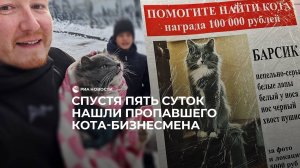 Спустя пять суток нашли пропавшего кота-бизнесмена