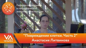 Кафедра Нормальной и патологической анатомии и гистологии "Повреждение клетки. Часть 2"