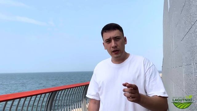 Увлекательный день поля, который стоит посетить в 2023 | Волгоградский овощевод