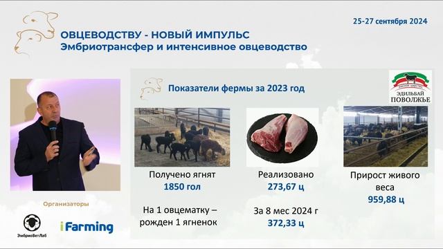 Опыт овцеводства Эдильбаевская порода овец