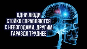 Левое и правое полушарие мозга и невроз