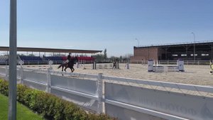 В КСК «Дубровский» на соревнованиях по конному спорту.