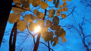 Романс о любви ❤️