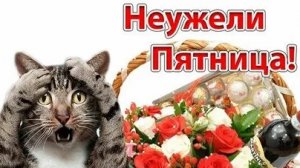 С пятницей!