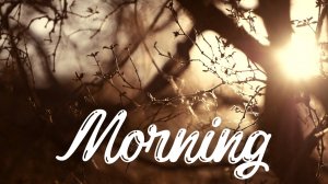 Stress Relief Music | Soothing Sounds to Calm Your Mind & Relax Your Body | Cabin of Calm