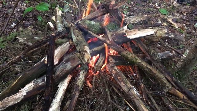 КОП ПО ВОЙНЕ! НАХОДКИ С ПЕРЕХОДНЫХ ПОЗИЦИЙ! смотреть онлайн