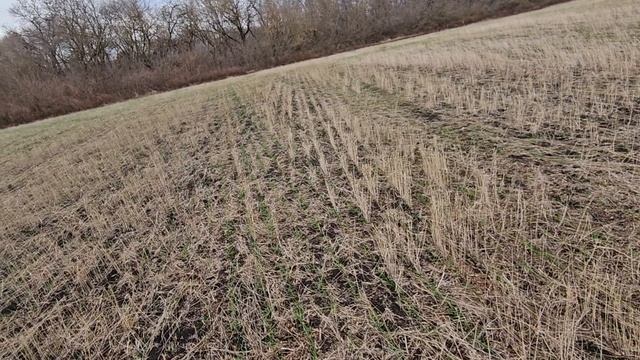 итоги ноу-тилл года2024 смотреть онлайн