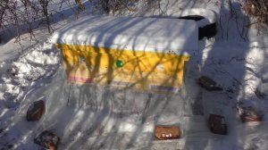 КАК ЗАЩИТИТЬ УЛЬИ от ПТИЦ