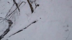 #всебегут