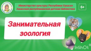 Занимательная зоология. Выпуск 5. "Я белка"