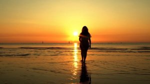 6691059-hd_1920_1080_25fps