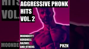 THE "AGGRESSIVE PHONK HITS" ALBUM OF ALL TIME VOL. 2