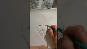 Карандашный рисунок. Лев.