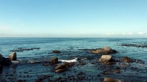 8537347-uhd_3840_2160_25fps