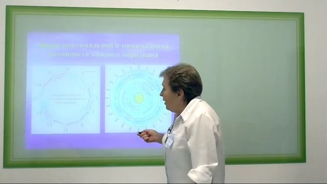 Время активности меридианов. И.Н. Шувалова