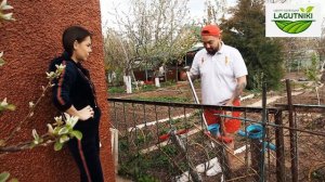 Как быстро и легко высадить рассаду