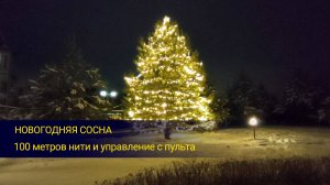 Сосна в стиле Winter Light в КП Шато Соверен