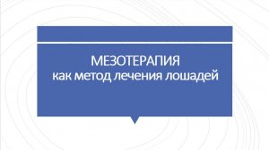 Мезотерапия лошадей. Лекция 1