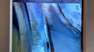 Правильная диагностика . В этой профессии, как и во многих других, знаний не бывает много.