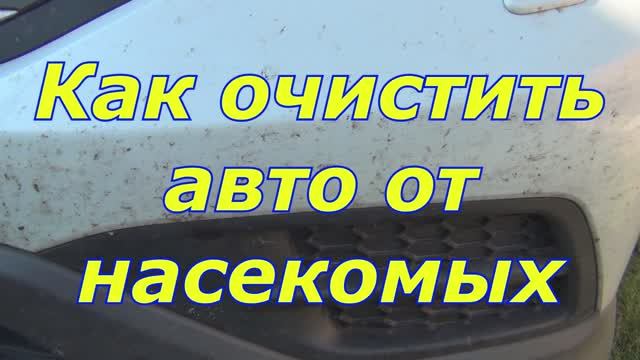 Как очистить авто от насекомых