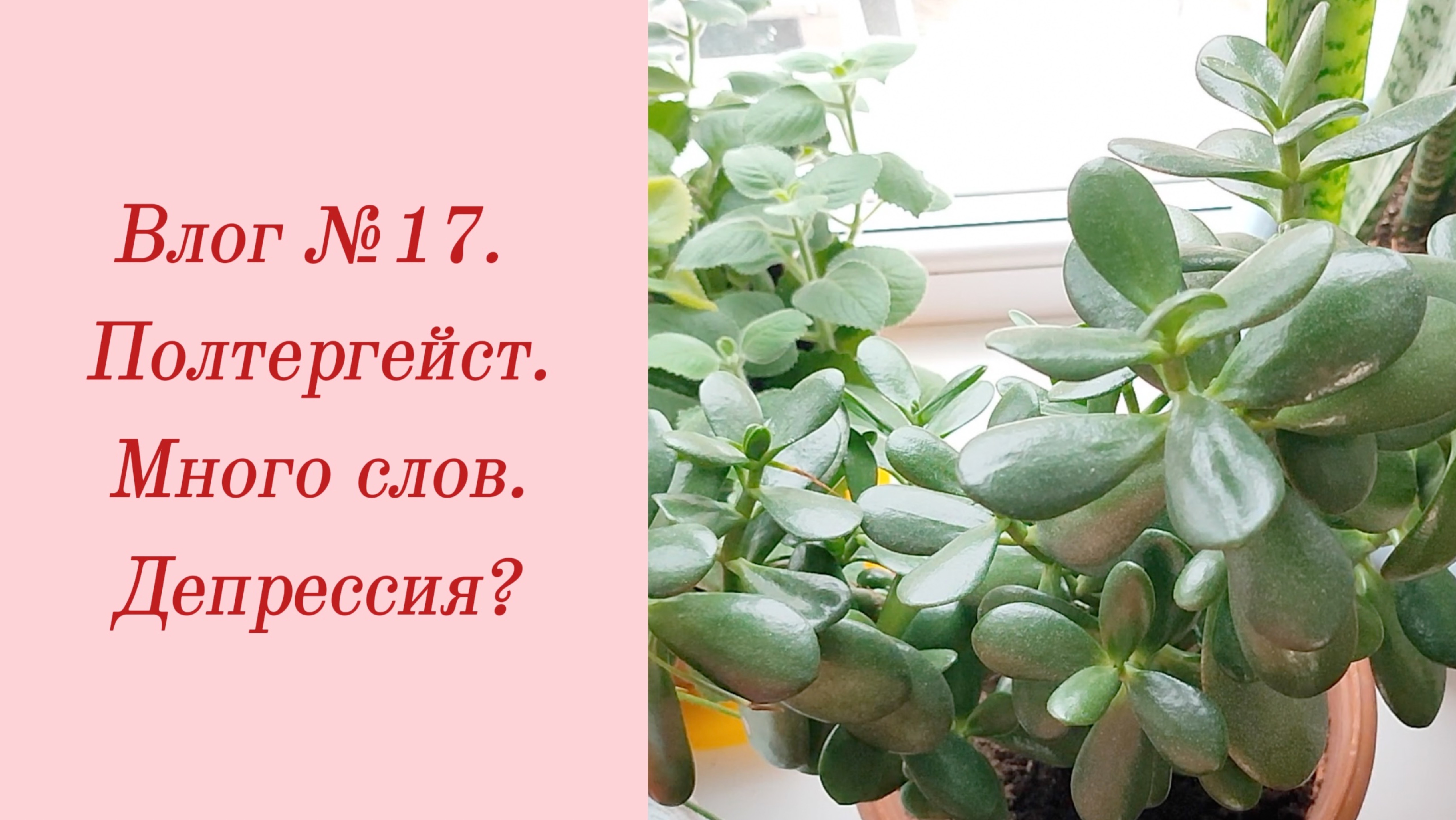 Влог №17. Полтергейст/ Много слов/ Депрессия? 28 ноября - 3 декабря 2023.